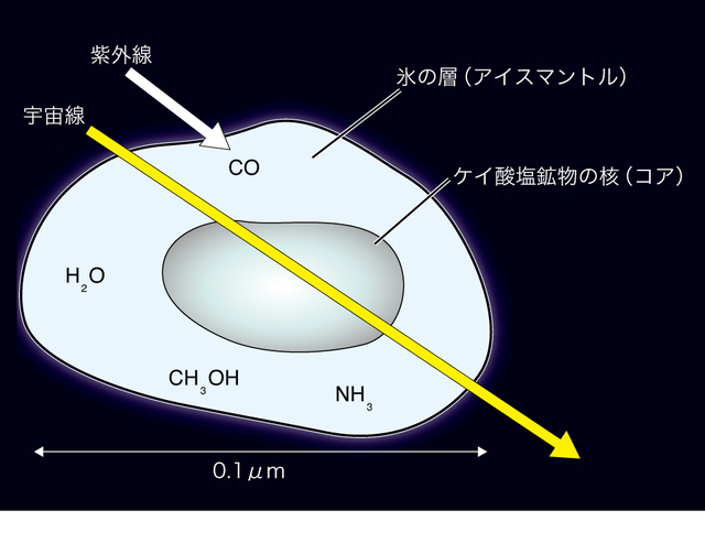 分子雲の星間塵での有機物生成