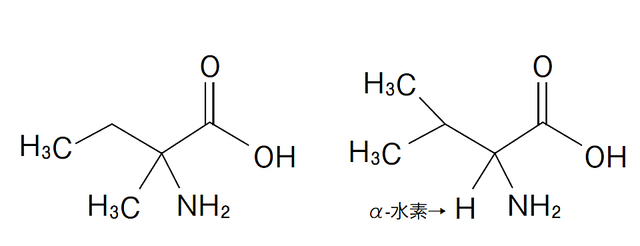 イソバリンとバリン。左:イソバリン。非タンパク質アミノ酸(-水素なし),隕石中でL体過剰あり　右:バリン。タンパク質アミノ酸(-水素あり)、隕石中でL体過剰なし