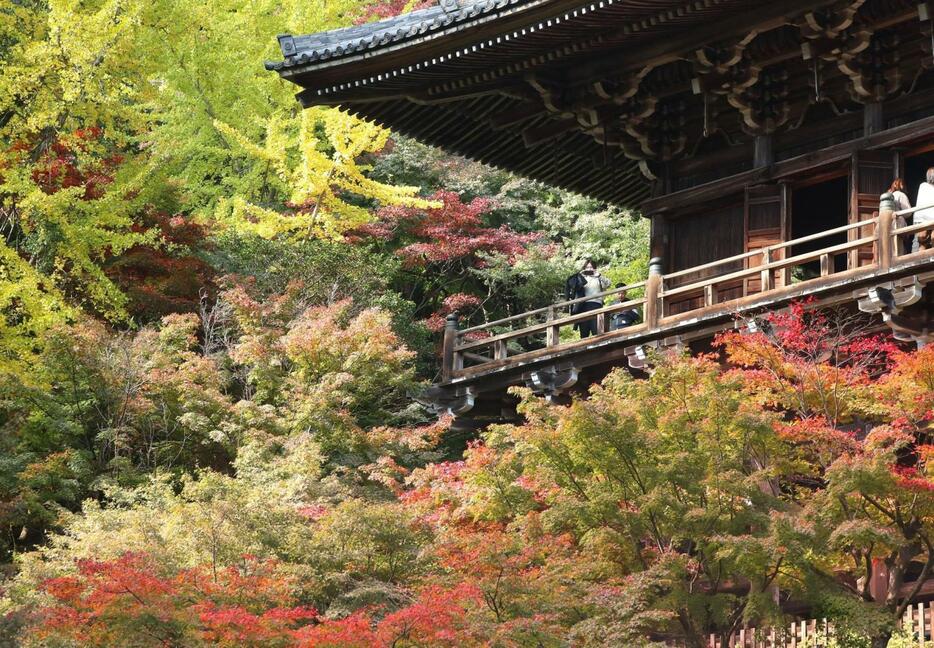 色づき始めたモミジやイチョウに包まれる書写山円教寺の摩尼殿＝姫路市書写