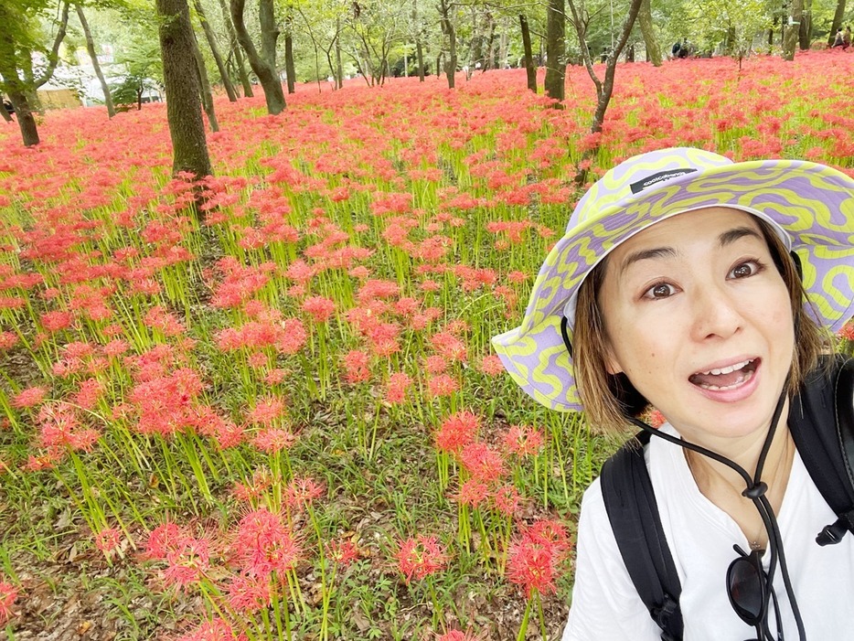 埼玉県日高市の「巾着田曼珠沙華まつり」と日和田山トレッキングに行ってきました。