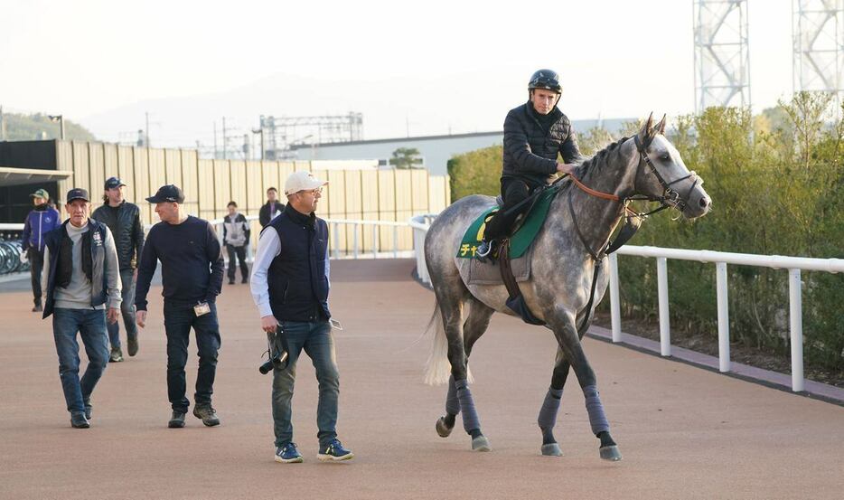 ライアン・ムーアを鞍上に調教にむかうチャリン＝京都競馬場（撮影・榎本雅弘）