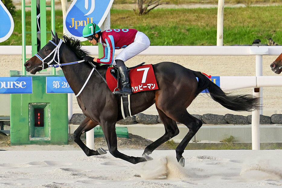 兵庫ジュニアグランプリを制したのはハッピーマン（兵庫県競馬組合提供）