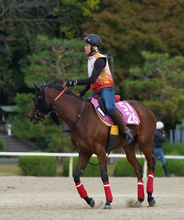 前走５着に敗れたカワキタマナレアは阪神JFで巻き返しを期す