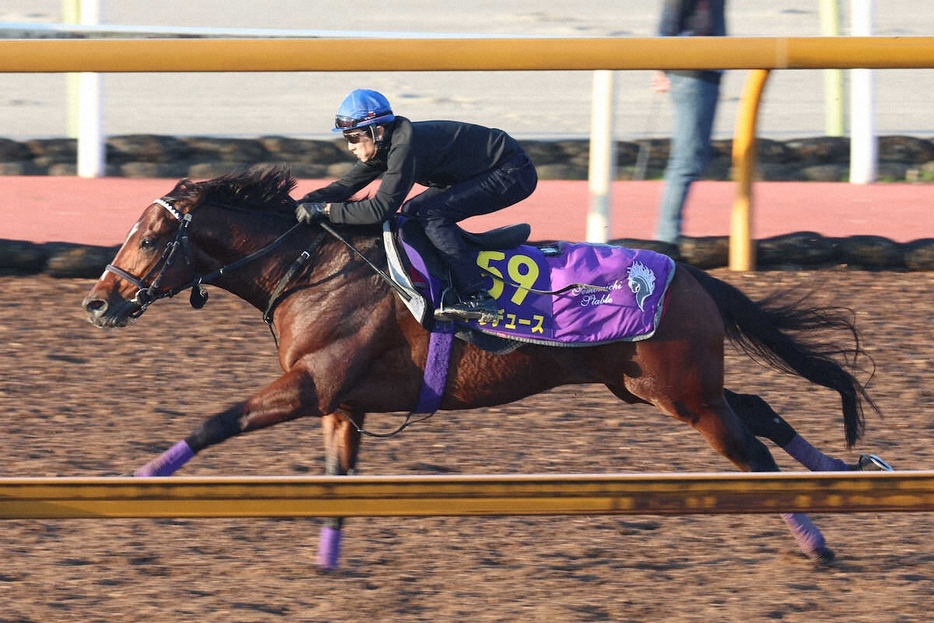 ＜ジャパンC・1週前追い切り＞武豊騎手が騎乗し、併せ馬をあっという間に突き放したドウデュース