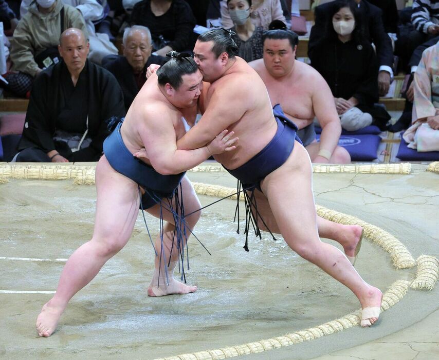 北の若（右）を寄り切りで破った白熊（カメラ・朝田　秀司）