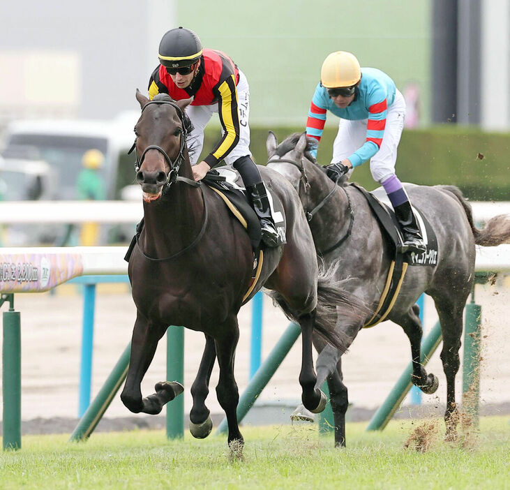 黄菊賞を制したミュージアムマイル（左）（カメラ・馬場　秀則）