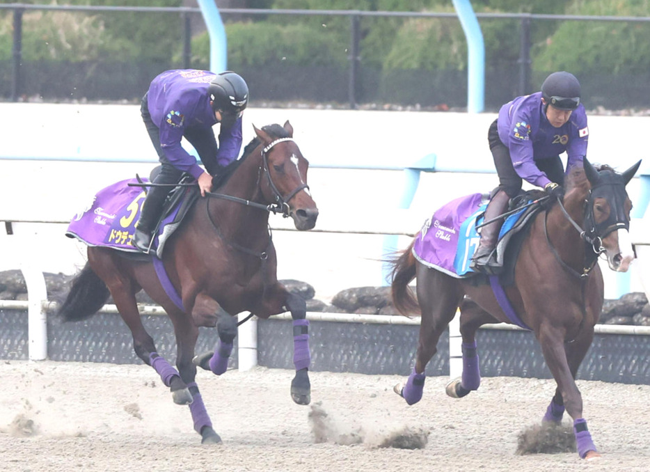 ポリトラックを併せ馬で追い切るドウデュース（左）