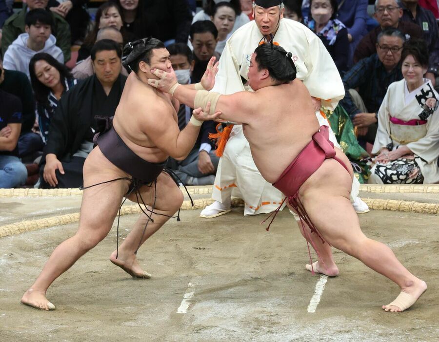 大栄翔（右）は霧島を押し出しで破った（カメラ・池内　雅彦）