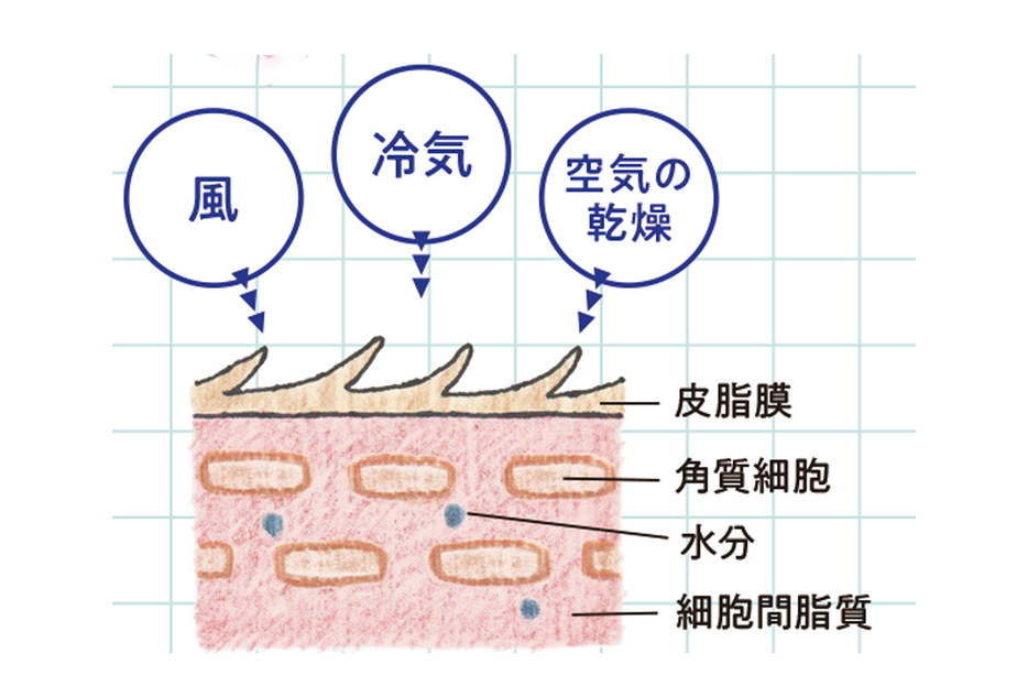 講談社 ViVi