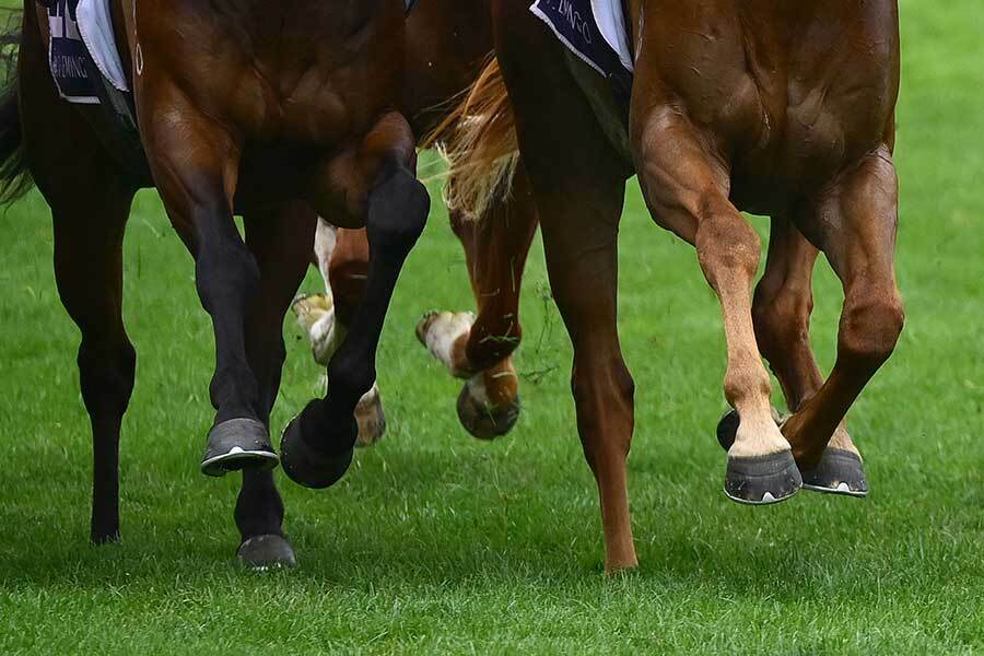 欧州競馬であわや大惨事の事件が発生（写真はイメージです）【写真：Getty Images】