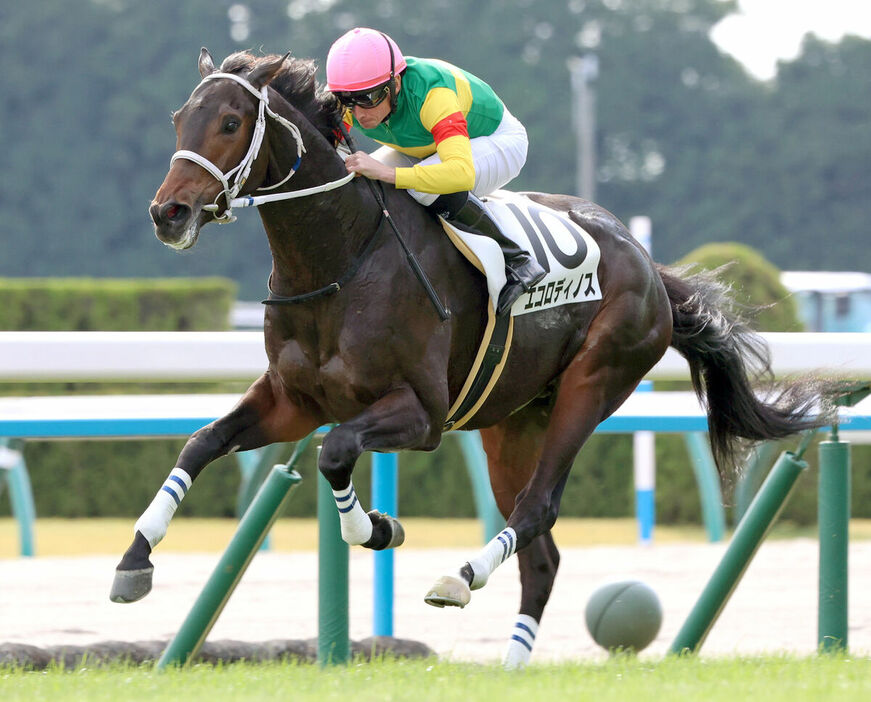 ムーア騎手騎乗のエコロディノスがデビュー勝ち（カメラ・高橋　由二）