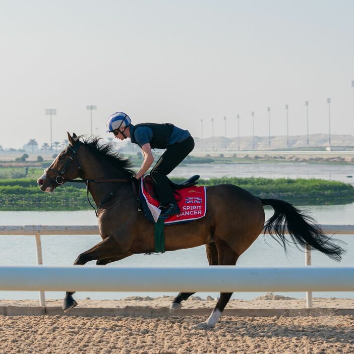 スピリットダンサーとオイシン・オール騎手 (C)THE Bahrain TURF CLUB