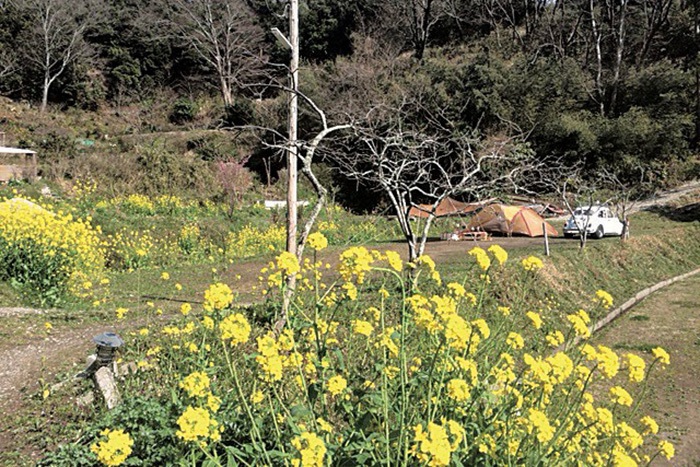 自然豊かな里山に囲まれた千葉県富津市の「花はなの里オートキャンプ場」