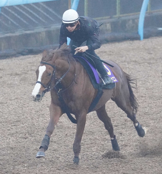 横山和を背に追い切るペイシャエス（撮影・村上大輔）