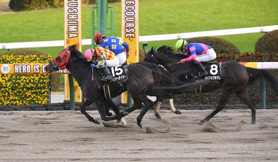 奥羽Sを制したアイファーテイオー＝9日、福島競馬場（撮影・奈良武）