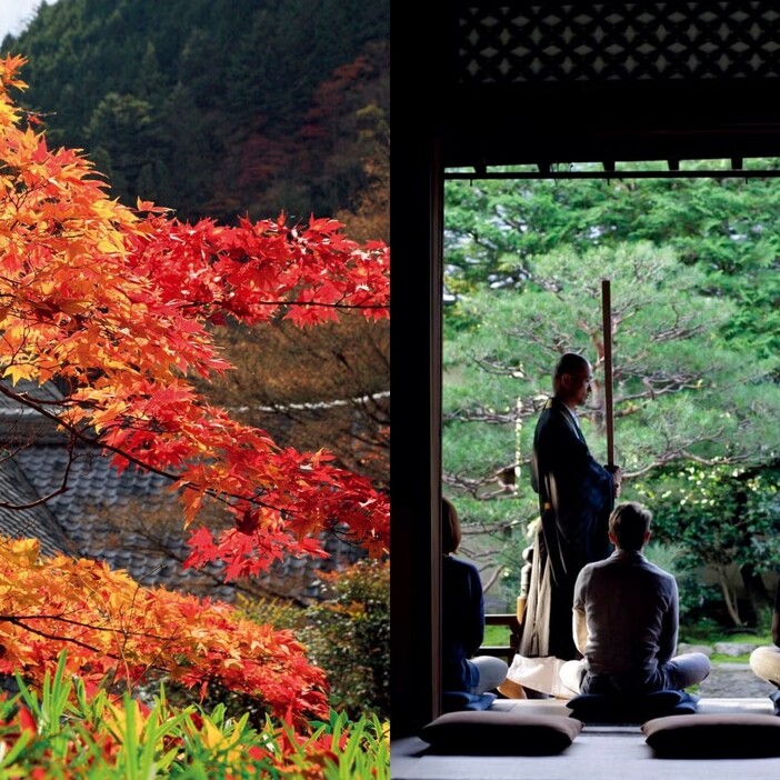 撮影＝中田 昭、写真提供＝建仁寺 両足院