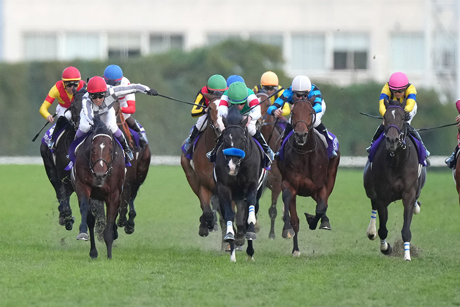 東京競馬場で行われた競馬のG1ジャパンカップ【写真：産経新聞社】