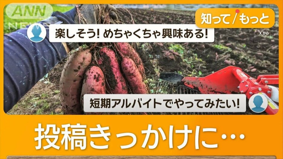 闇バイトより農業…SNS呼びかけ　5900万回表示　応募殺到「ものすごく感謝されます」