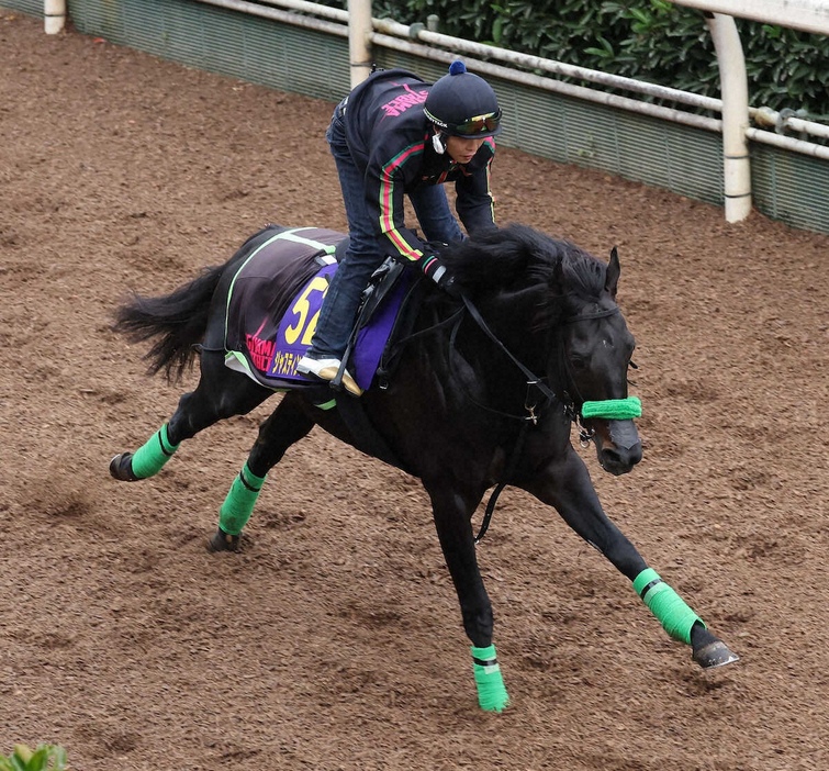 坂路を単走で追い切るジャスティンパレス