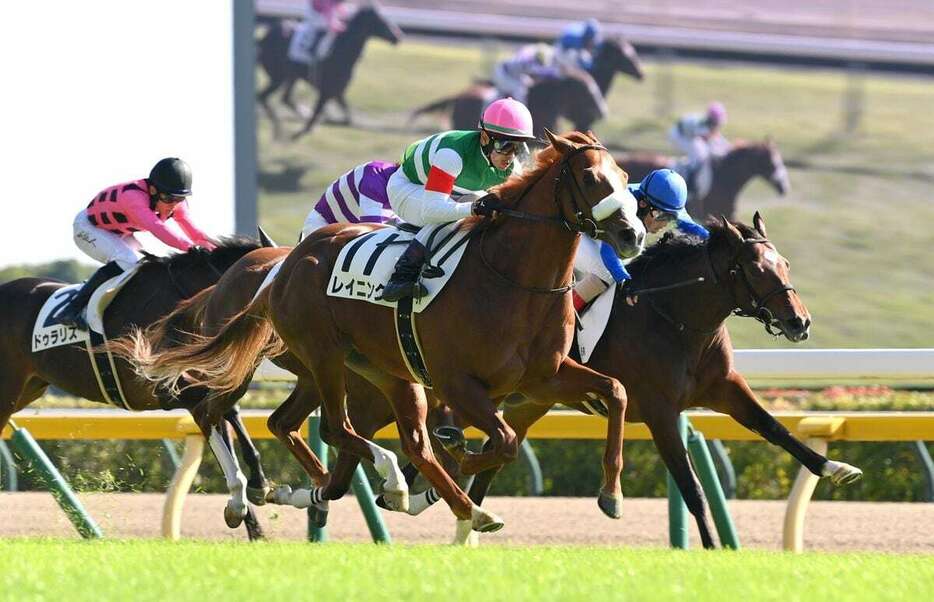 断然人気に応えてデビュー戦を飾ったレイニング＝東京競馬場（撮影・奈良武）