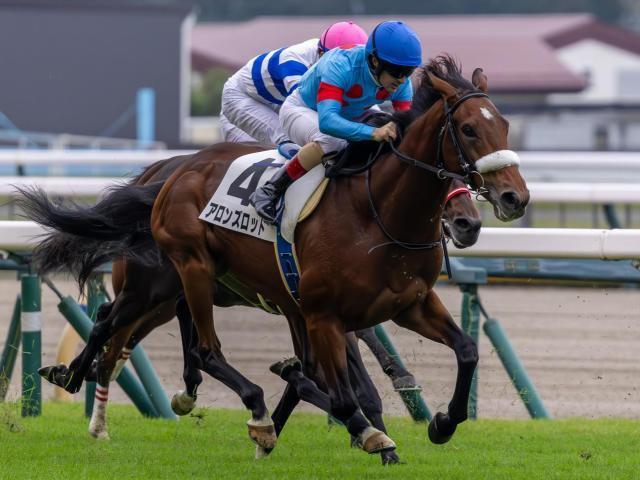 初勝利を目指すアロンズロッド(今年10月撮影、ユーザー提供：おさむさん)