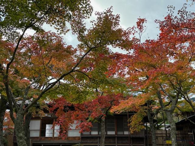 庭園「神仙郷」の紅葉