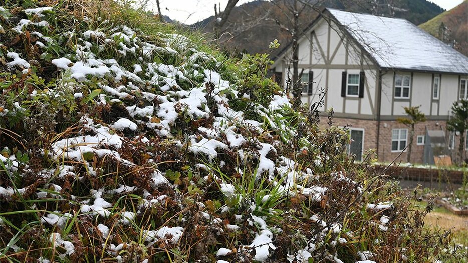 地面にうっすらと降り積もった雪＝高山市荘川町六厩