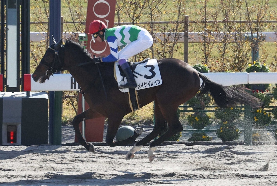 ＜京都3R＞レース途中から先頭に立ち勝利するメイケイレイン　（撮影・亀井　直樹）　