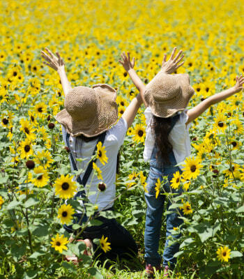 〔PHOTO〕iStock