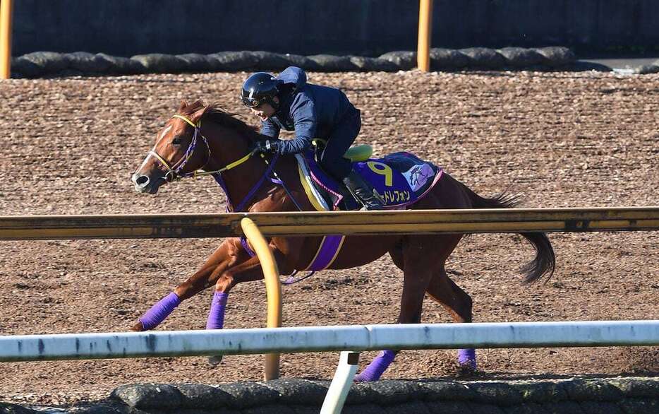 チャンピオンズCの追い切りを行ったテーオードレフォン＝栗東トレセン（撮影・岩川晋也）