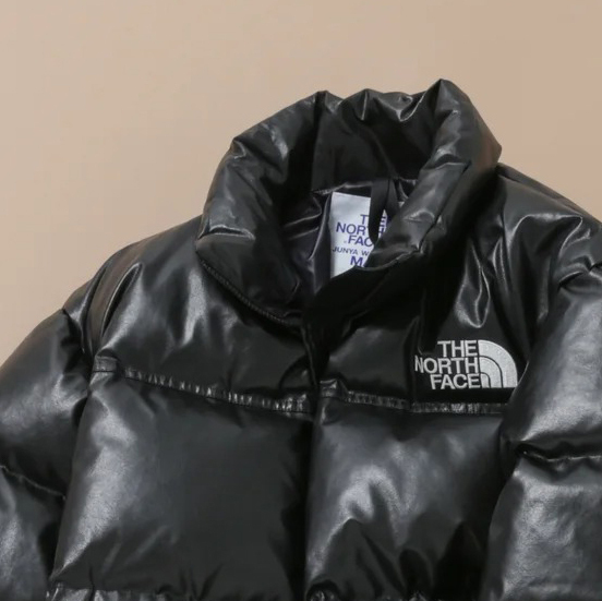 eYe JUNYA WATANABE MAN×THE NORTH FACE｜DOWN JACKET