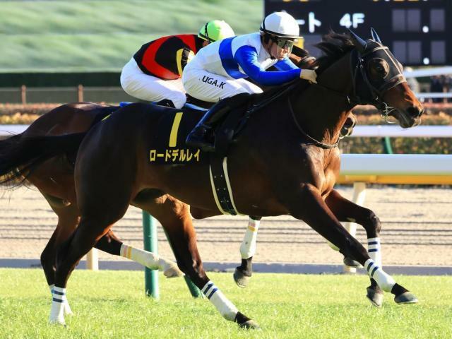 白富士Sを快勝したロードデルレイ(今年1月撮影、ユーザー提供：上がり３F１８０さん)