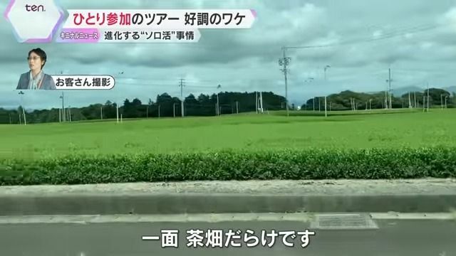 参加者が撮影した茶畑