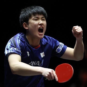 世界ランキング3位に上昇した張本智和（写真：WTT）