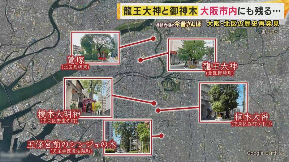 「道路に立つ大木」大阪市内にいくつか存在