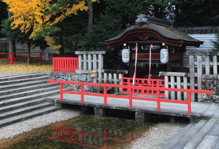 下鴨神社の御手洗池。湧き出た流れは、2つの小川と合流しながら樹齢600年級の広葉樹もある糺の森を流れる。写真／中田 昭