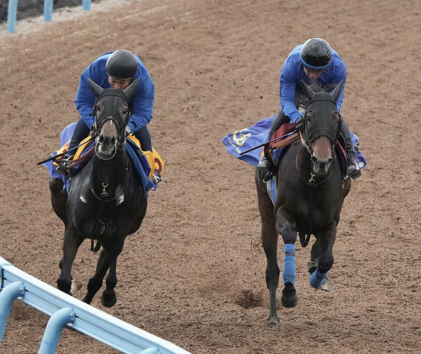 シンティレーション（右）はホウオウシェリーと併せて追い切る（撮影・柴田隆二）