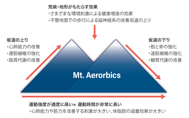 登山が健康や体力の改善におよぼすさまざまな効果( 山本、2008)