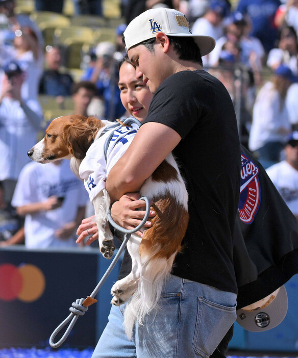 ドジャースタジアムでのセレモニーを終え、愛犬のデコピンを抱え会場を後にするドジャースの大谷（手前）と妻の真美子さん＝１日、ロサンゼルス