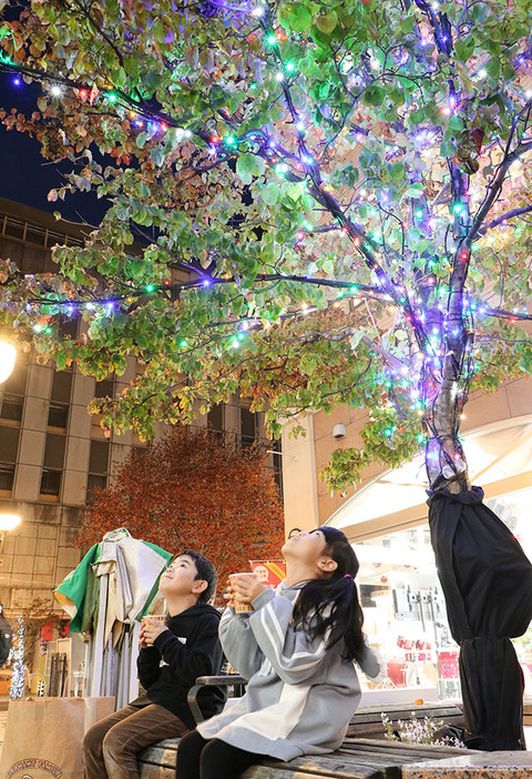 市中心部の夜をイルミネーションで彩る「光のプロムナード」＝山形市・ほっとなる広場公園