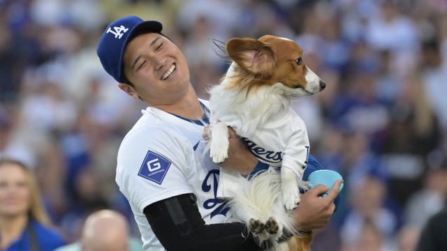 大谷翔平選手の愛犬デコピンが始球式に登場※8月撮影(写真：USA TODAY Sports/ロイター/アフロ)