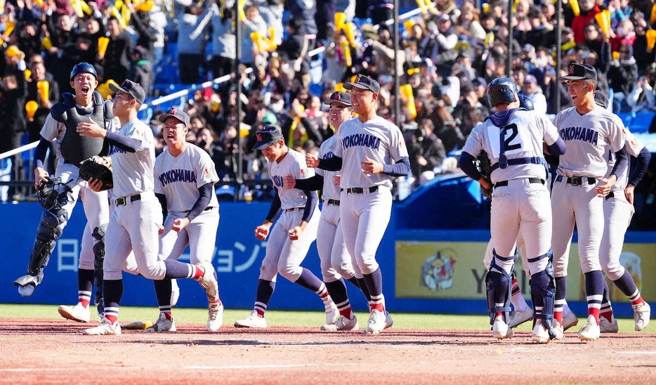 神宮大会準決勝＜東洋大姫路・横浜＞決勝進出を決め、喜ぶ横浜ナイン（撮影・五島　佑一郎）