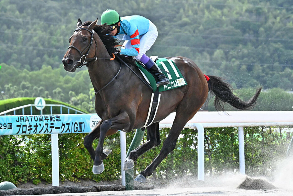 デビューから５連勝中のヤマニンウルスはチャンピオンズＣを視野