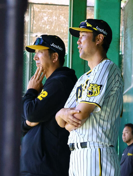 7日、安芸のブルペンで投球練習を見つめる藤川監督（左）と金村コーチ