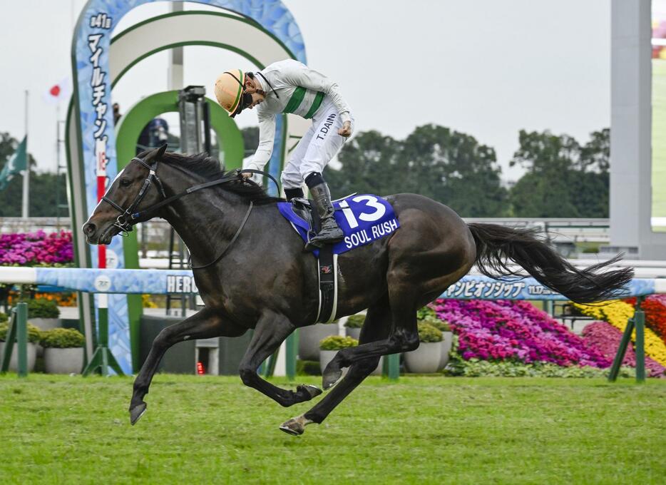 第41回マイルチャンピオンシップを制したソウルラッシュ＝京都競馬場