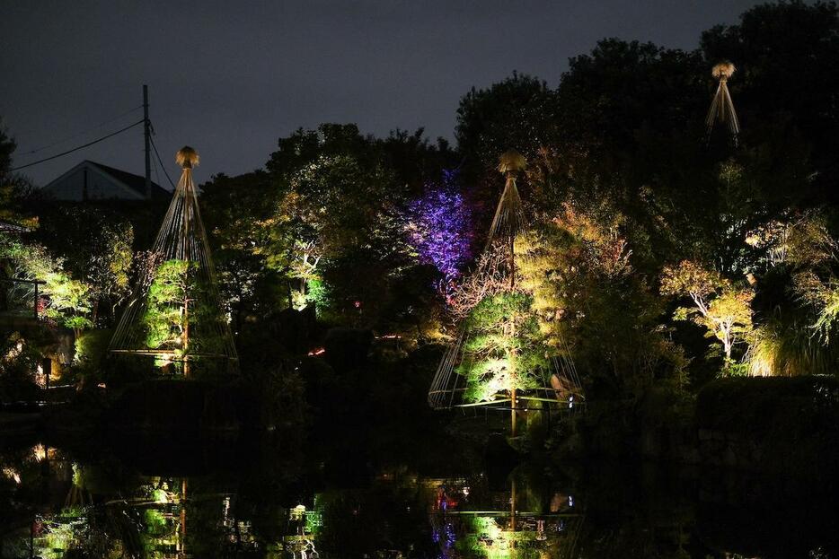 今年の目白庭園紅葉ライトアップの様子（写真提供＝目白庭園）