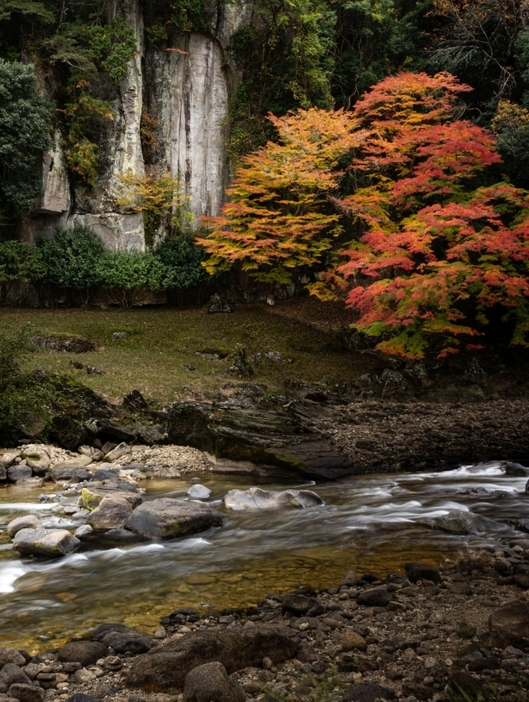 弥勒磨崖仏を彩る紅葉=26日、宇陀市室生大野の大野寺