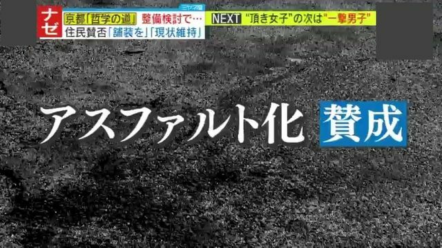 アスファルト化『賛成』の意見は―