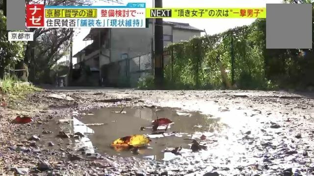 雨の後は悲惨な状況に