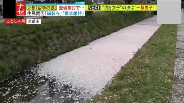 美しい桜の名所として有名